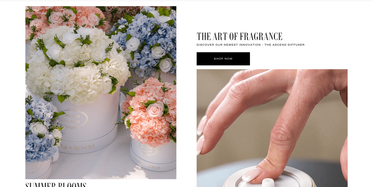 Venus Et Fleur project screenshot - User Experience Design